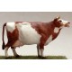 Vache Qui Meugle