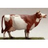 Vache Qui Meugle